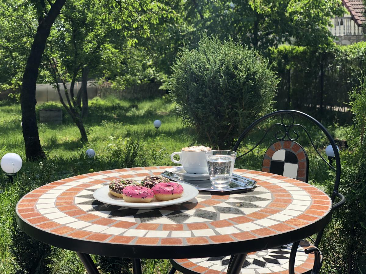 Hotel Athos R.M.T. Kaloşvar Dış mekan fotoğraf